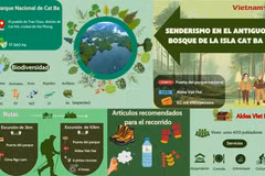 Experimente ruta de senderismo por el bosque primitivo en la isla Cat Ba