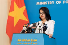 La portavoz de la Cancillería de Vietnam, Pham Thu Hang (Fuente: VNA)