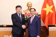 El canciller vietnamita Bui Thanh Son (derecha) recibe al viceministro de Asuntos Exteriores de la República Popular Democrática de Corea (RPDC), Pak Sang Gil. (Fuente: VNA)