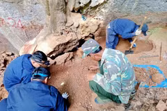 La búsqueda de restos de soldados voluntarios y expertos vietnamitas caídos en la provincia laosiana de Xiangkhouang (Lào). (Fuente: baonghean.vn) 