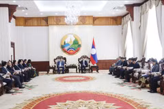 En el encuentro entre el primer ministro de Laos, Sonexay Siphandone y la delegación de la Academia de Ciencias y Tecnología de Vietnam (Fuente: VNA)