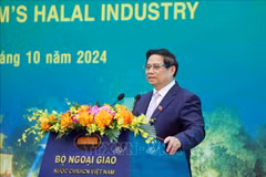 El primer ministro Pham Minh Chinh en la conferencia (Fuente: VNA)