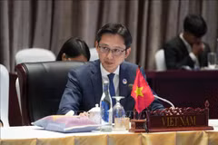 El viceministro de Relaciones Exteriores de Vietnam, Do Hung Viet (Fuente: VNA)