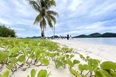 Koh Yao Yai, Phang Nga (Foto: https://www.bangkokpost.com/) 