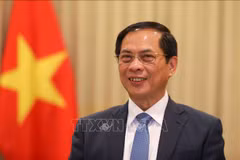 El vicepremier y canciller de Vietnam, Bui Thanh Son (Fuente: VNA)