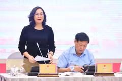 La viceministra de Industria y Comercio, Phan Thi Thang, en la reunión (Fuente: Vietnam+)