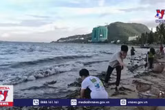 Club de voluntarios lidera los esfuerzos comunitarios para mantener limpias las playas de Vung Tau 