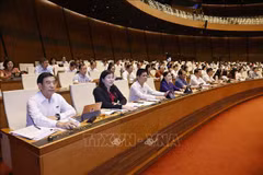 Diputados de la Asamblea Nacional votan la Ley de Industria de Defensa, Seguridad y Movilización Industrial (Fuente: VNA)