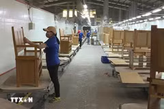 Producción de madera para la exportación (Fuente: VNA)