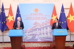 El ministro de Relaciones Exteriores de Vietnam, Bui Thanh Son y el vicepresidente de la Comisión Europea y Alto Representante de la Unión Europea para Asuntos Exteriores y Política de Seguridad, Josep Borrell Fontelles luego de la conversación (Fuente: VNA)
