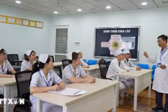 Los enfermeros vietnamitas (Fuente: VNA)