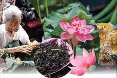 El oficio de elaborar té con aroma de loto Quang An 