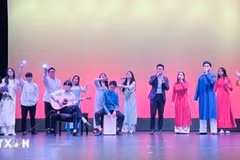 Una actuación en el Día de la Cultura de Vietnam 2024, celebrado en Wellington, la capital de Nueva Zelanda. (Foto: VNA)