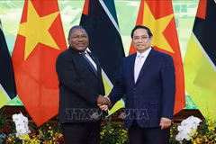 El primer ministro de Vietnam, Pham Minh Chinh y el presidente de Mozambique, Filipe Jacinto Nyusi (Fuente: VNA)