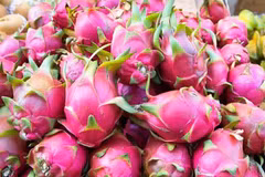 Pitahaya vietnamita llega a las tiendas de Australia