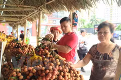 [Fotos] Semana de lichi en Hanoi