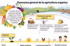 [Infografía] Panorama general de la agricultura orgánica