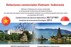 [Infografía] Relaciones comerciales Vietnam - Indonesia