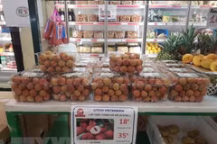 Lichi vietnamita recibe alta valoración de consumidores franceses