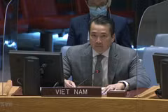 Vietnam llama a garantizar derechos humanos en República Centroafricana y Siria