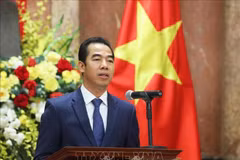 Promueven conexión entre localidades y empresas vietnamitas con el extranjero 