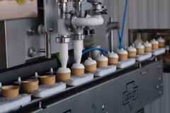 Rusia exporta segundo lote de helados a Vietnam 