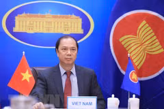 Vietnam propone aceleración de compra de vacunas para países miembros de la ASEAN