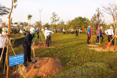 Lanzan en provincia vietnamita movimiento de siembra de árboles