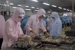 Vietnam aboga por relaciones comerciales equitativas y sostenibles con Estados Unidos