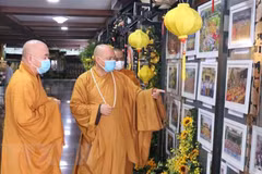 Exposición por 40 aniversario de fundación de Sangha Budista vietnamita