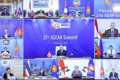 Hitos impresionantes de Vietnam en la arena internacional