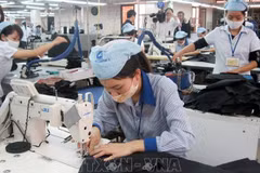 Vietnam elabora documentos para implementar acuerdo comercial con Reino Unido