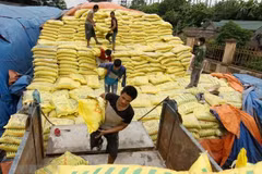 Vietnam decide imponer medidas de autodefensa a fertilizantes importados