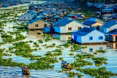 Exhortan en Vietnam a construir base de datos sobre protección ambiental en delta del Mekong