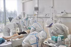 Honran a trabajadores médicos en Ciudad Ho Chi Minh por sus aportes a la lucha contra el COVID-19