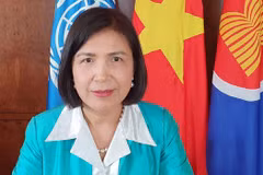 Vietnam apoya esfuerzos de UNCTAD de asistir a países en recuperación sostenible
