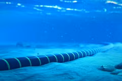 Problemas de cables submarinos afectan conexiones internacionales por Internet en Vietnam