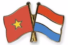 Conmemoran 48 años de las relaciones diplomáticas Vietnam-Países Bajos