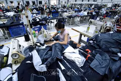 Aconsejan a empresas vietnamitas adoptar proactividad en exportaciones a la UEE