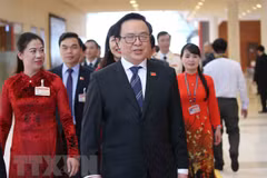 Labores de relaciones exteriores del Partido Comunista, esenciales para éxito de Vietnam