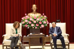 Hanoi necesita más ayuda para el desarrollo de infraestructura
