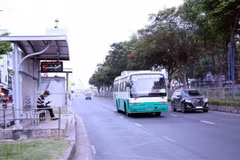 Ciudad Ho Chi Minh propone el uso de minibus según planificación urbana