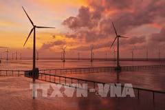 Vietnam por mitigar impactos de la crisis energética mundial