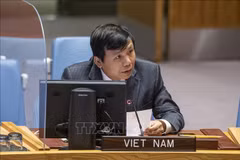 Vietnam exhorta a promover proceso de paz en Oriente Medio