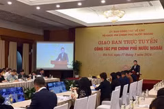 ONG foráneas ofrecen asistencia de más de 200 millones de dólares a Vietnam en 2020