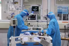 Vietnam e Italia intercambian experiencias en uso de células madre en tratamiento del COVID-19