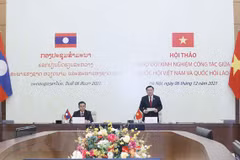 Vietnam y Laos intercambian experiencias en labores parlamentarios 