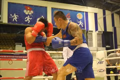 Concluye Campeonato Nacional de Boxeo de Vietnam 2021 