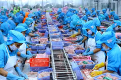 Vietnam por convertirse en centro mundial de procesamiento de mariscos