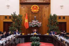 Analiza gobierno modelo de gobierno urbano en Ciudad Ho Chi Minh y Da Nang 